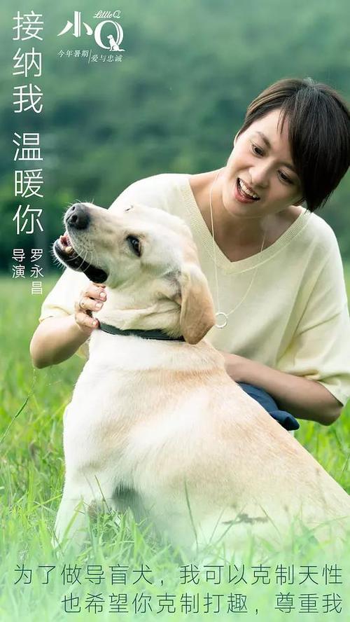 怎么买上海浦东发展银行存款证明